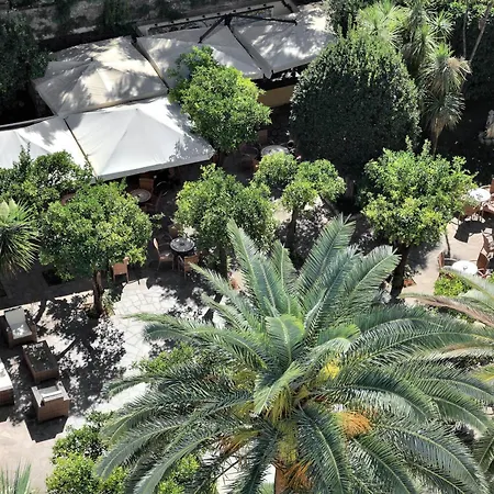 Hotel Mediterraneo Sant'Agnello